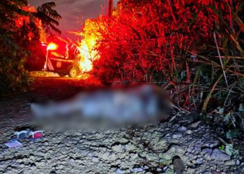 Veja: Homem é encontrado m0rt0 e amarrado em ramal no km 15 da AM-070