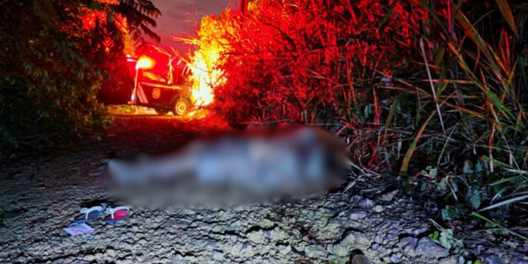 Veja: Homem é encontrado m0rt0 e amarrado em ramal no km 15 da AM-070