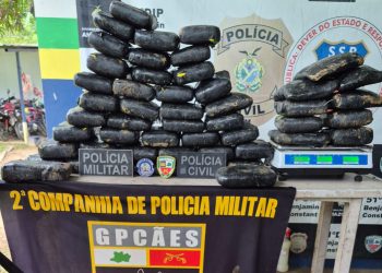 Foram 59 quilos de entorpecente encontrados enterrados em uma área de mata. Foto: Divulgação/PC-AM