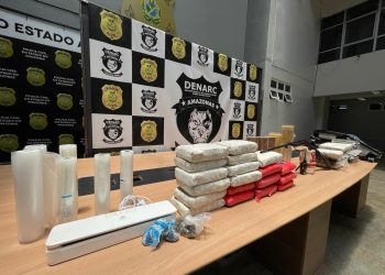 Toda a droga apreendida em Parintins está avaliada em mais de R$ 500 mil. Foto: Divulgação/PC-AM
