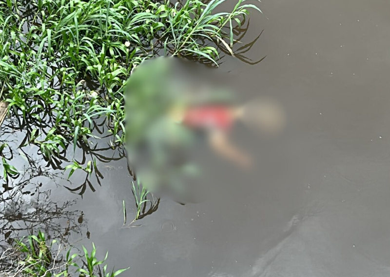 A descoberta foi feita por pedestres e motoristas que trafegavam pela via e acionaram imediatamente as autoridades. Foto: Reprodução