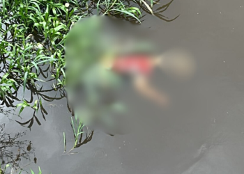 A descoberta foi feita por pedestres e motoristas que trafegavam pela via e acionaram imediatamente as autoridades. Foto: Reprodução