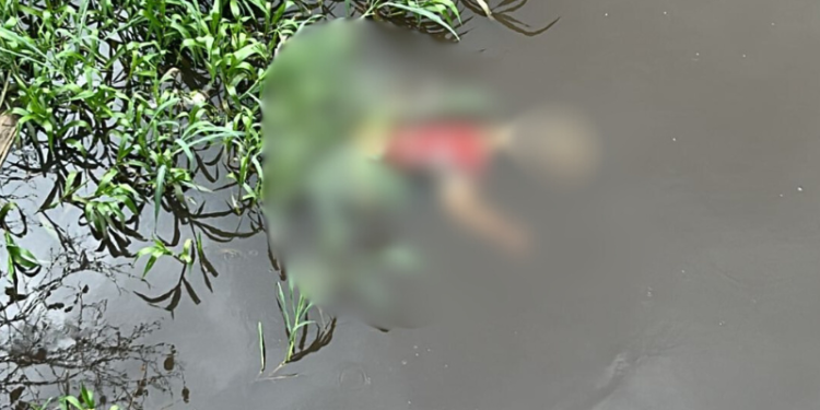 A descoberta foi feita por pedestres e motoristas que trafegavam pela via e acionaram imediatamente as autoridades. Foto: Reprodução