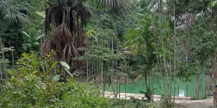 Familiares procuraram as autoridades após o sumiço do rapaz. Foto: Reprodução