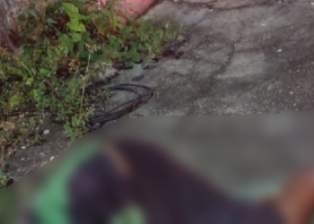 O crime ocorreu na madrugada deste domingo (1º). Foto: Reprodução