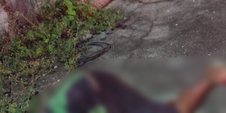 O crime ocorreu na madrugada deste domingo (1º). Foto: Reprodução