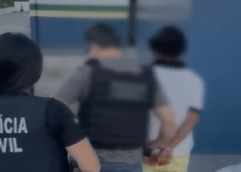 O homem confessou o crime à polícia. Foto: Reprodução