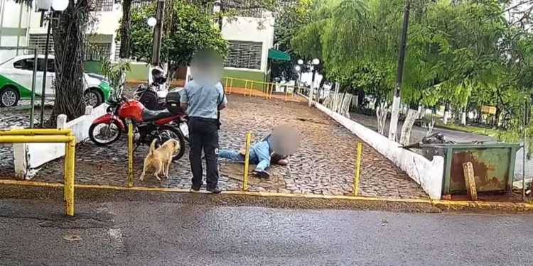 Vigilante é filmado sem reagir enquanto homem é atacado com mata-leão durante assalto em universidade