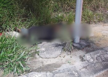 Homem é ex3cutad0 com mais de 10 tir0s na avenida Torquato Tapajós