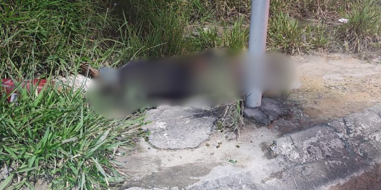 Homem é ex3cutad0 com mais de 10 tir0s na avenida Torquato Tapajós