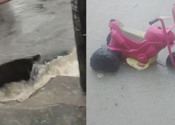 Imagens gravadas por um morador mostram a rua completamente tomada pela água. Foto: Reprodução