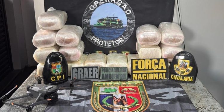 A droga estava oculta em caixas de papelão no interior de uma embarcação que realizava a rota entre Tefé e Manaus. Foto: Divulgação/PC-AM