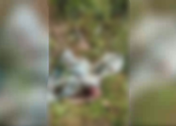 O corpo de Herbert Tavares Valentim, de 30 anos, foi encontrado em estado altamente avançado de decomposição. Foto: Reprodução