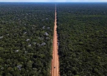 Desembargadora derruba liminar e libera licitações da BR-319