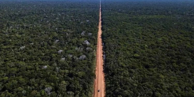 Desembargadora derruba liminar e libera licitações da BR-319