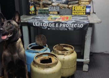 Polícia apreende quase 30 kg de skunk escondidos em botijas de gás no AM