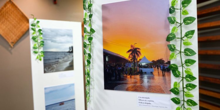 Exposição reúne 36 fotografias produzidas por acadêmicos da área da saúde. Foto: Divulgação