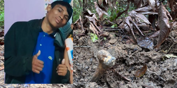 O Corpo de Bombeiros foi acionado depois que denúncias anônimas indicaram a presença de um esqueleto humano em meio à vegetação. Foto: Reprodução