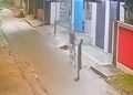Veja: Homem é m0rt0 com golpe de terçado no pescoço após suspeita de furto em Nova Olinda do Norte