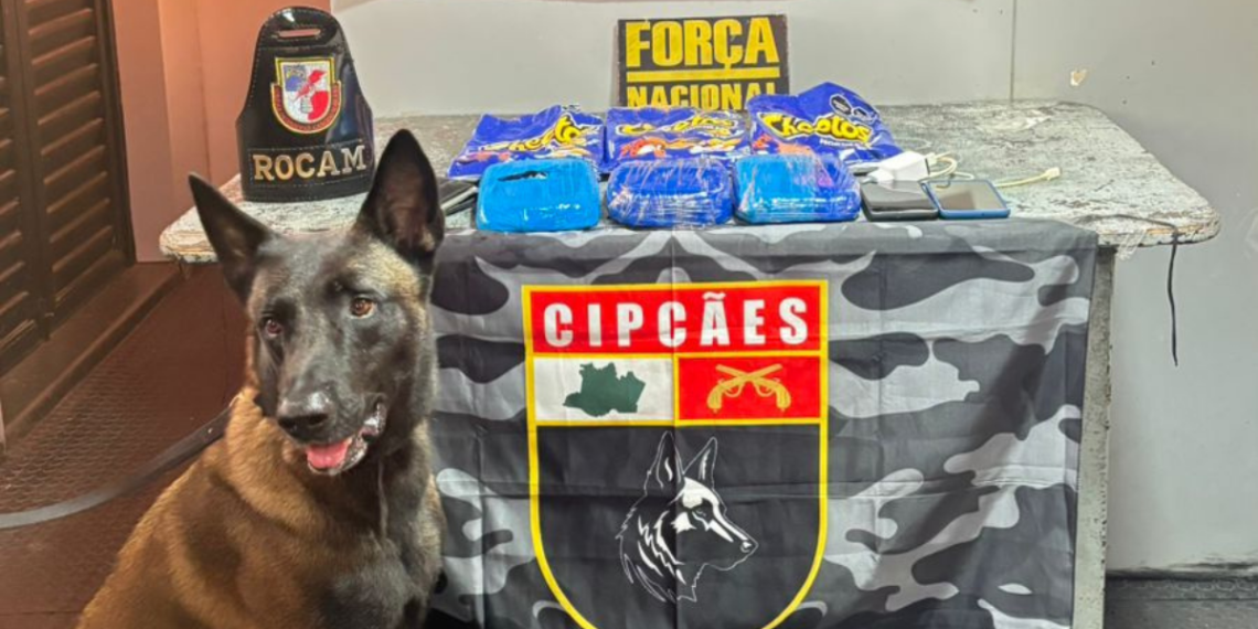 O prejuízo estimado ao crime organizado é de R$ 160 mil. Foto: Reprodução