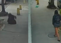 Câmeras de segurança registraram o momento exato da queda, por volta das 7h40. Foto: Reprodução