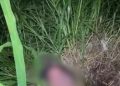 Ritual? Corpo de homem é encontrado ao lado de velas pretas em terreno baldio de Manaus