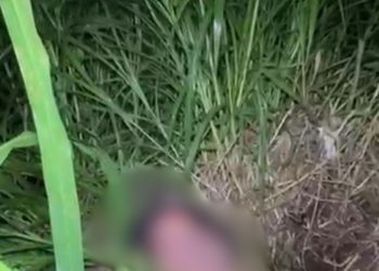Ritual? Corpo de homem é encontrado ao lado de velas pretas em terreno baldio de Manaus