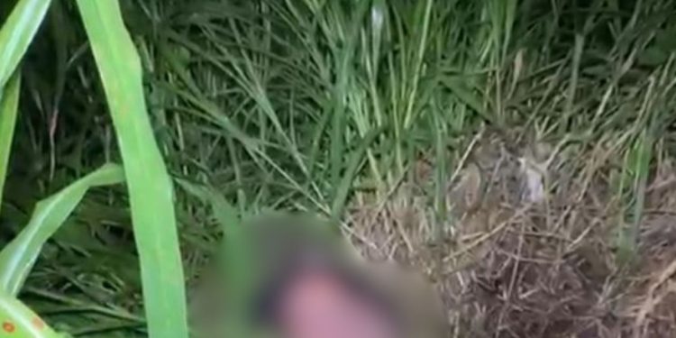 Ritual? Corpo de homem é encontrado ao lado de velas pretas em terreno baldio de Manaus
