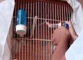 Veja: Garoto de 13 anos é investigado após publicar vídeos de m4us-trat0s a animais