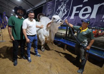 Entre 2019 e 2025, a Expoagro movimentou aproximadamente R$ 891 milhões em negócios. Foto: Arquivo/UB