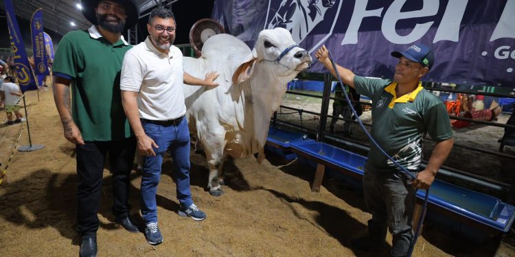Entre 2019 e 2025, a Expoagro movimentou aproximadamente R$ 891 milhões em negócios. Foto: Arquivo/UB