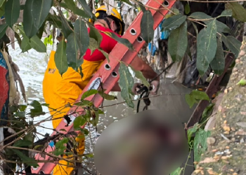 O cadáver estava submerso em uma área de mata densa e com grande concentração de lixo. Foto: Reprodução