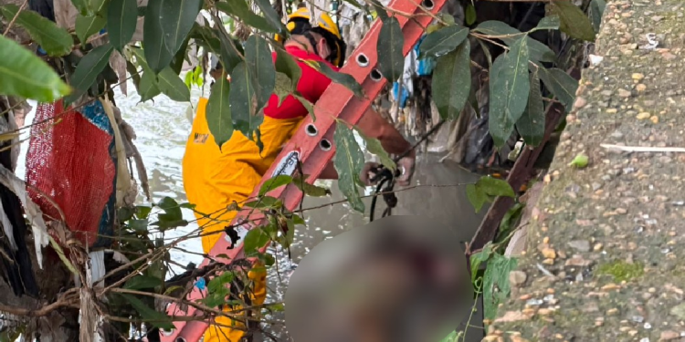 O cadáver estava submerso em uma área de mata densa e com grande concentração de lixo. Foto: Reprodução