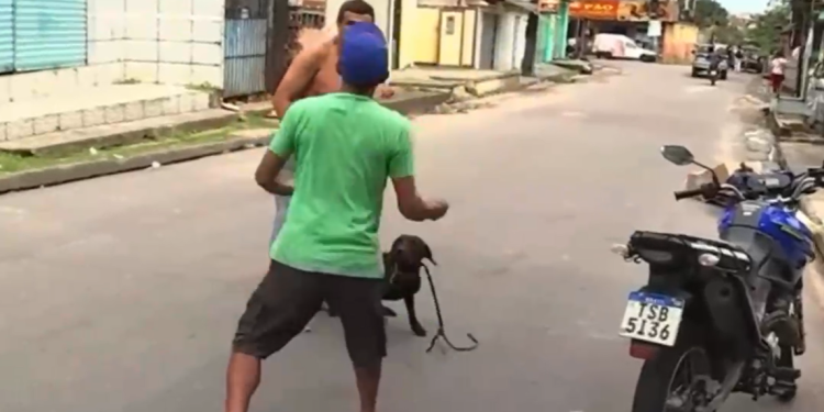 O tumulto começou quando um dos envolvidos na denúncia passou a acusar o vizinho de ter sido o responsável por chamar a reportagem. Foto: Reprodução
