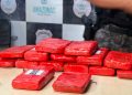 Denúncia leva Rocam a esconderijo de drogas e causa prejuízo de R$ 300 mil ao crime