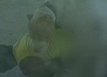 vulgo 'Boga Nervoso' é denunciado após ser flagrado tendo relações com cachorro