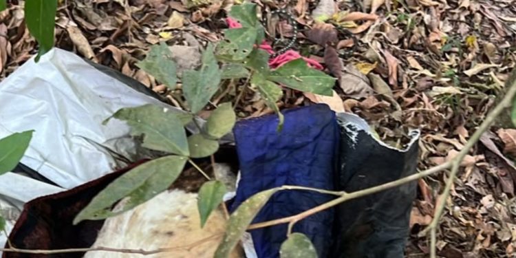 Polícia passa horas procurando corpo em cova e encontra cachorro morto em Manaus