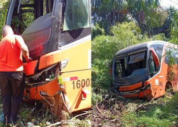 Ônibus sai da pista e despenca em ribanceira na BR-319