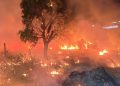Incêndio de grandes proporções assusta moradores e ameaça postos na Avenida das Torres
