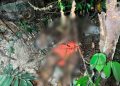 Homem é encontrado m0rt0 em mata próxima à Torquato Tapajós