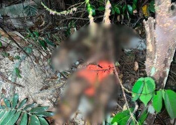 Homem é encontrado m0rt0 em mata próxima à Torquato Tapajós