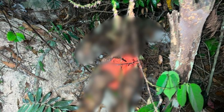 Homem é encontrado m0rt0 em mata próxima à Torquato Tapajós