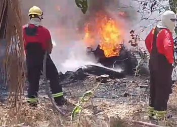 Um incêndio de grandes proporções atingiu uma vasta área de vegetação seca. Foto: Reprodução