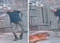 Vídeo: Cachorro é m0rt0 a t1r0s após se aproximar de homem que passeava com outro cão