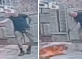 Vídeo: Cachorro é m0rt0 a t1r0s após se aproximar de homem que passeava com outro cão