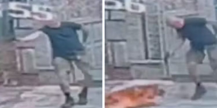 Vídeo: Cachorro é m0rt0 a t1r0s após se aproximar de homem que passeava com outro cão