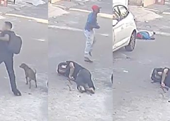 Vídeo mostra homens se matand0 com o mesmo rev0lver durante p0rrada na rua