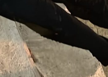 Ao chegar em casa, homem é surpreendido por carro vermelho e ex3cut4do no Lírio do Vale