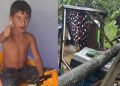 Tr4géd1a na chuva: árvore cai sobre casa e m4ta criança de 8 anos