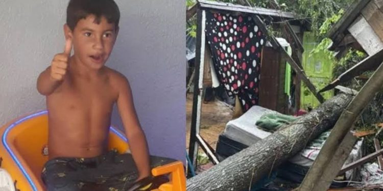 Tr4géd1a na chuva: árvore cai sobre casa e m4ta criança de 8 anos